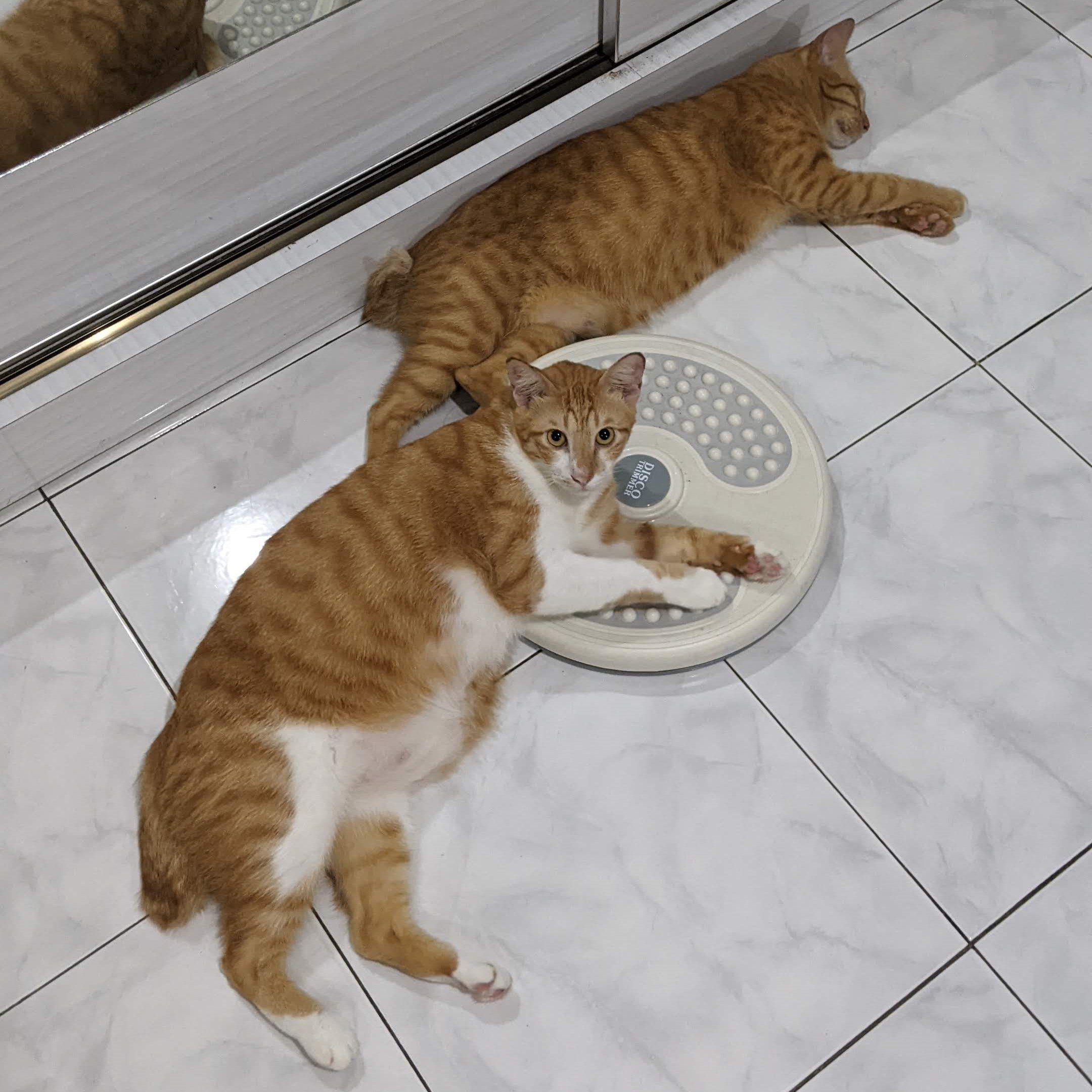 Oshin and his big bro, Seiko