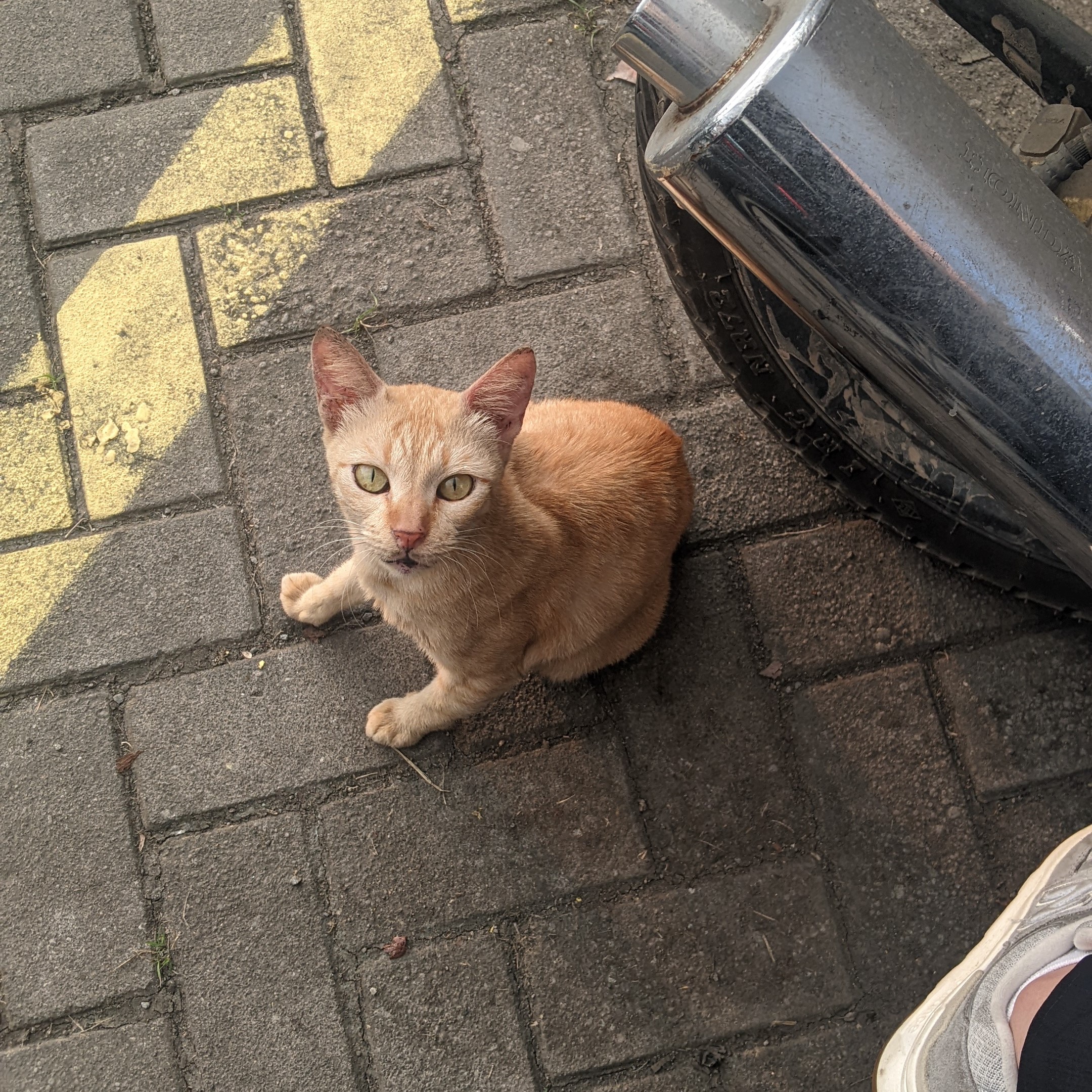 when oyen is looking at me