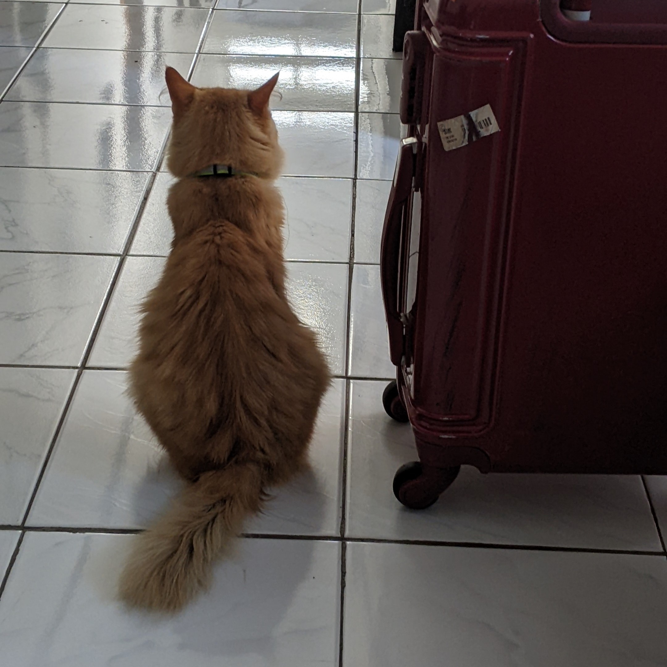 meet Bumi, she's also slay